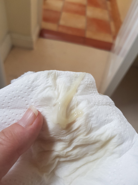 TMI warning - mucus plug - how close am I?