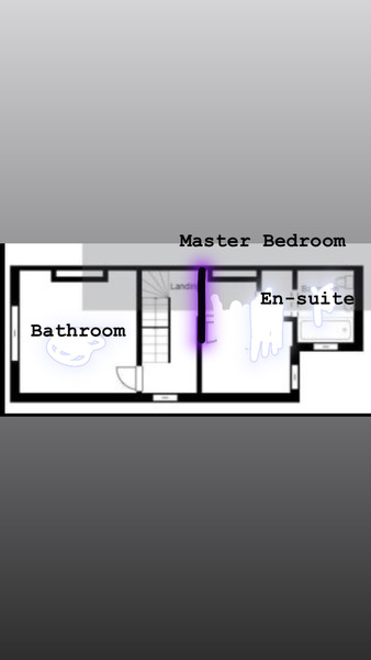 What would attract you more in a house