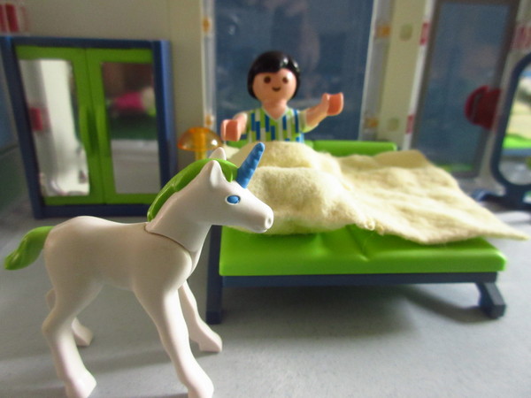Playmobil pandemic in our house part 2