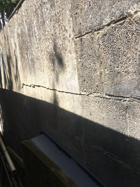 Neighbours leylandii trees damaging our retaining wall.