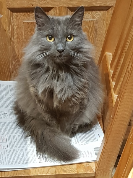 What's your DCat up to today? (Thread 7!)