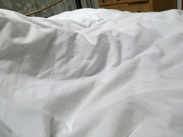 White bedding is the best