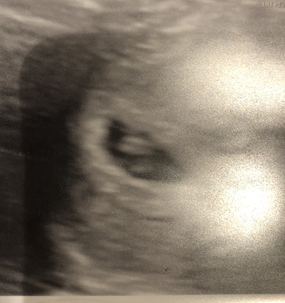 FEBRUARY 2021 DUE DATE