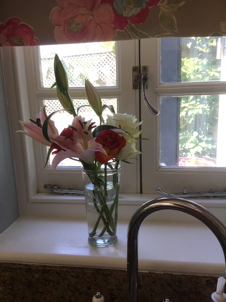 Westminstenders: How many Dead Cats Do You Get In A Thunderstorm?