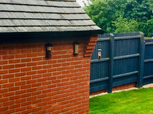 Anyone good at feeding garden birds?