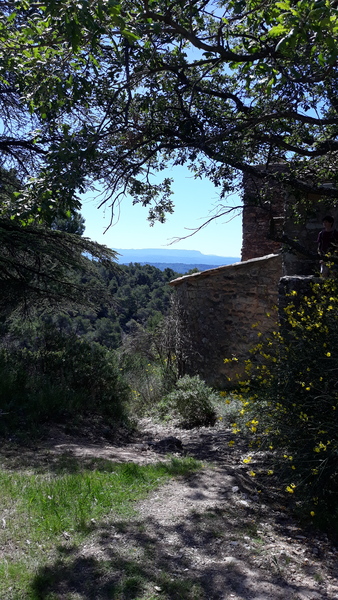 Westminstenders: Just another DEADline