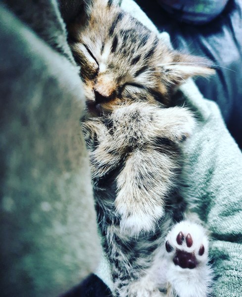 Toe bean thread anyone?