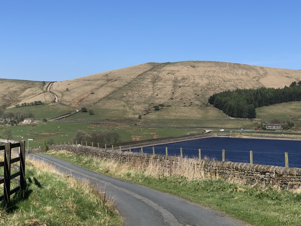 To escape to the country?