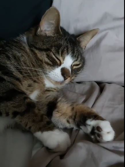 Toe bean thread anyone?