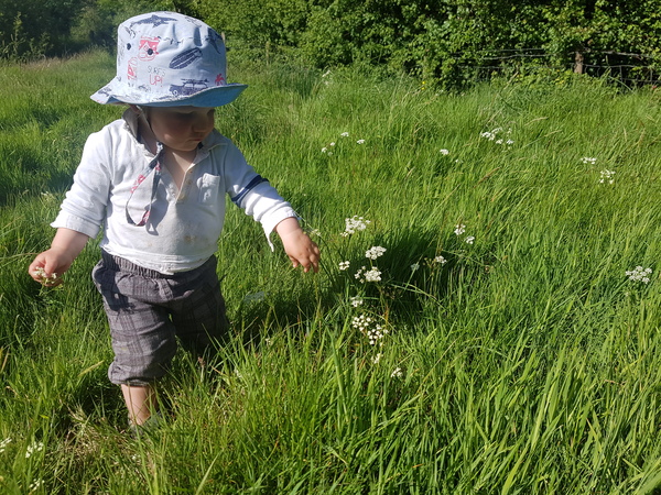 The best garden games for kids