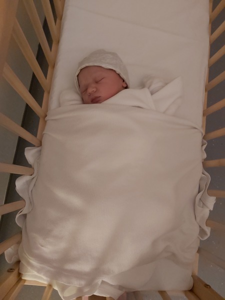 Due June 2020 thread 8: The one where all the babies appear!