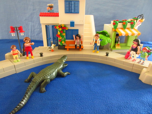 Playmobil pandemic in our house part 2