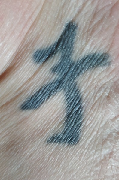Chinese (we think, but could be Japanese) symbol help.