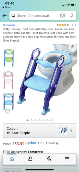 Potty training nightmare, please help. I really don't know what to do now