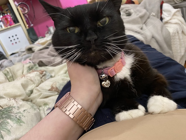 Outfit of the Day Thread - still shopping our wardrobes