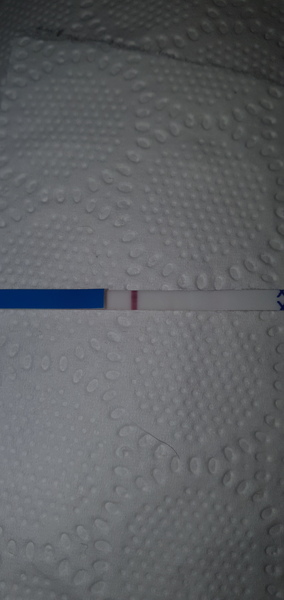 Evap or positive line??? Help