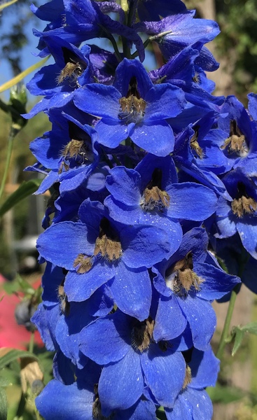 Les Parisiennes des Mamansnet: Ce n'est pas bon de faire du lèche-vitrines avec de l'argent en poche