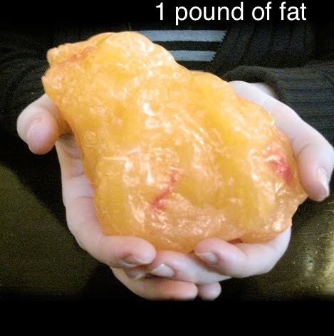 Low Carb Bootcamp Léger! Notre quatre semaine est ici!