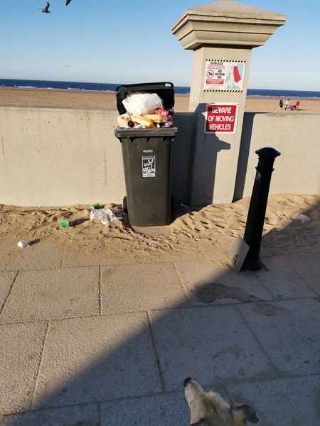 the mentality behind people who leave their trash in parkland/nature reserves