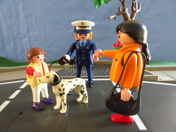 Playmobil pandemic in our house part 2