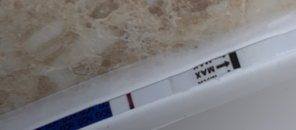 One step strip tests, what do you think?