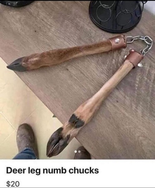 Deer leg in garden