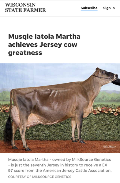 To ask what is wrong with this cow