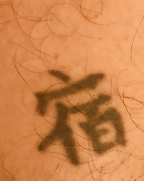 Chinese (we think, but could be Japanese) symbol help.
