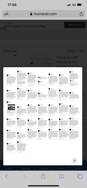 Allison Bailey to sue Stonewall