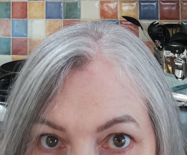 Tired of my Grey Hair