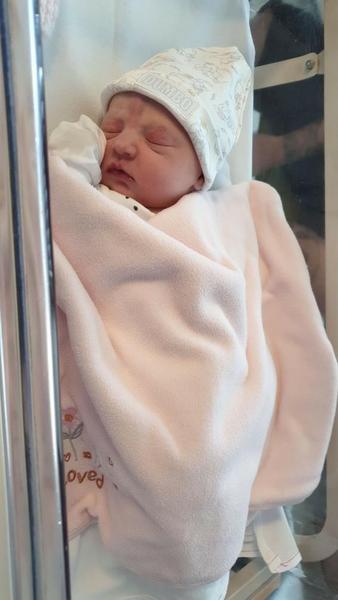 Due June 2020 thread 8: The one where all the babies appear!