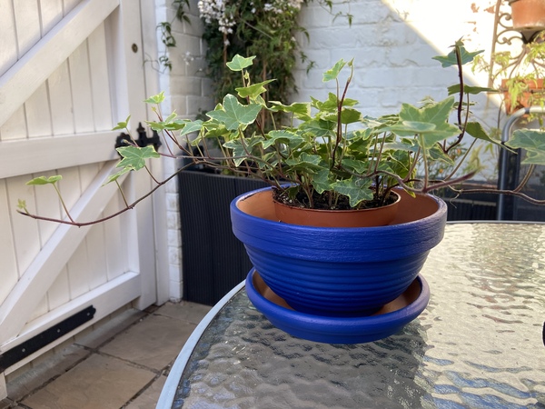 Plant pots for indoors