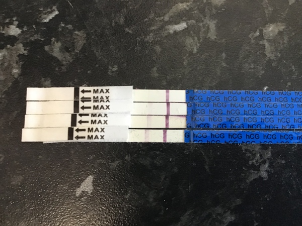24th June - 4th July Testing Buddies (thread 2)