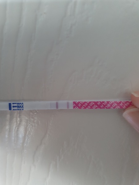 Catching up - ttc after miscarriage part 3