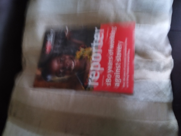 Statues should be left alone