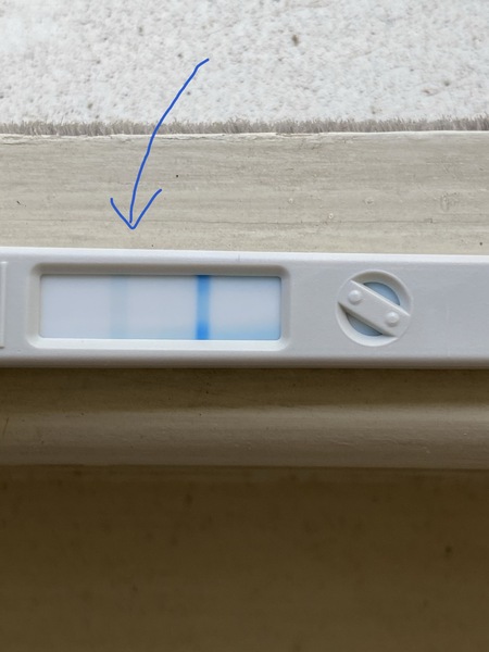 Evap line or bfp ? (after ellaone)