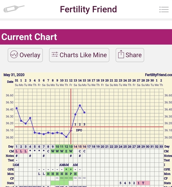 Penguin huddle 🐧🐧🐧 TTC after pregnancy loss - Thread 35 - time for some sticky BFP's