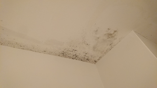 mould growing on concrete ceiling - will insulated plasterboard help?