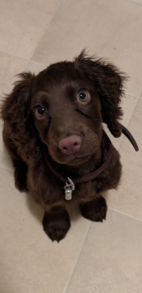 Erm this is a weird one?