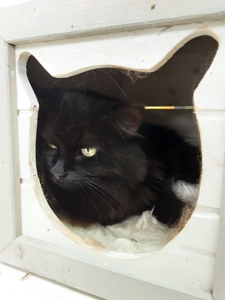 What's your DCat up to today? (Thread 7!)