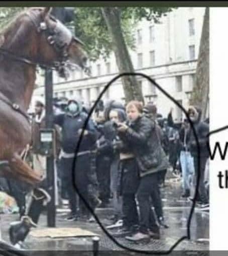 London Protest Police Horse which Bolted
