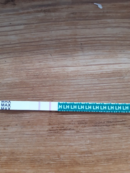 Help needed! Positive test after miscarriage