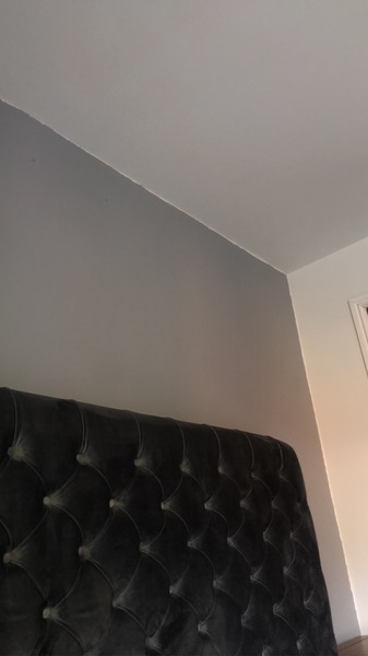 Please show me your pale gray walls!