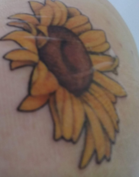 Anyone else got a sunflower