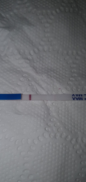 Evap or positive line??? Help