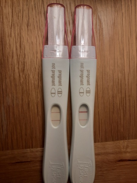 FEBRUARY 2021 DUE DATE