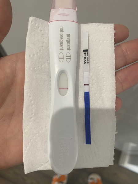 4dp5dt