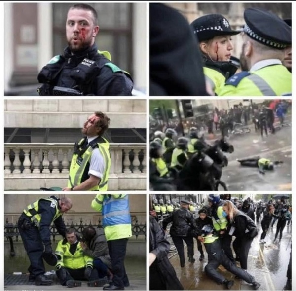 Is it just white people who object to the protests?