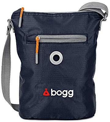 What do you take on a walk?