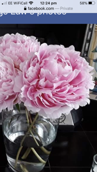 Flowers for J K Rowling